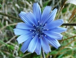 Image de rennouk