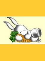 Trombi de natachattitude