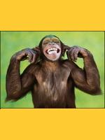 Image de vieuxtempse