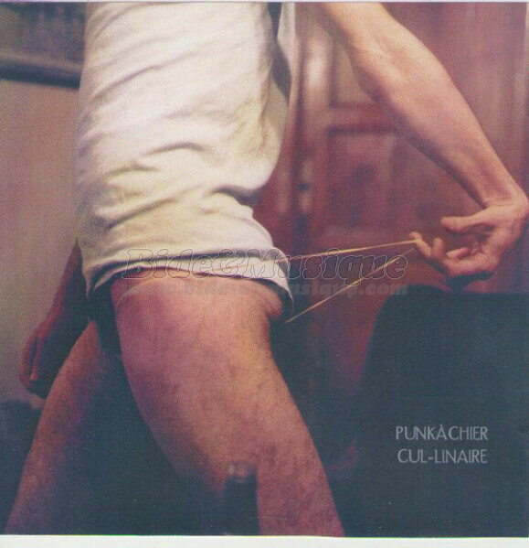 Punk à chier - STO (Salade Tomate Oignon)