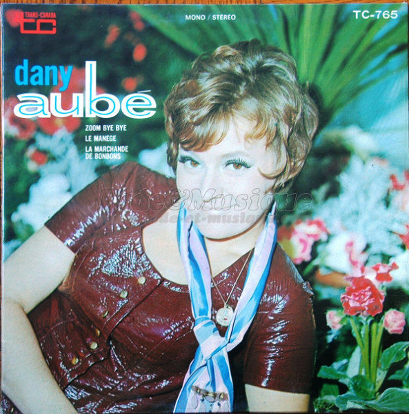 Dany Aubé - Vive le Québec Bide !