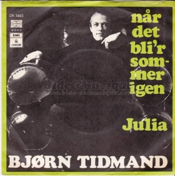 Bjørn Tidmand - Scandinabide