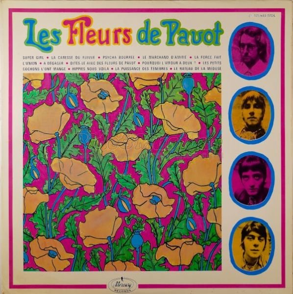 Les fleurs de pavot - Dites-le avec des fleurs de pavot