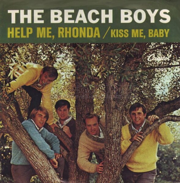 Beach Boys, The - Sixties
