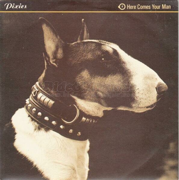 Pixies - 80'