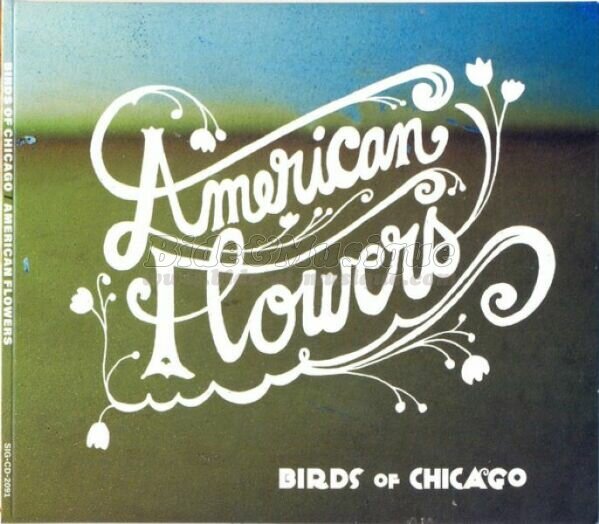 Birds of Chicago - Etoile d'amour
