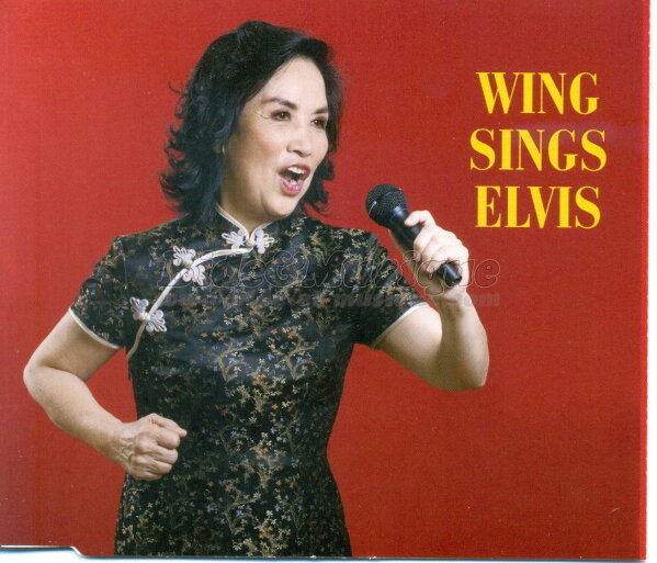 Wing - Are you lonesome tonight