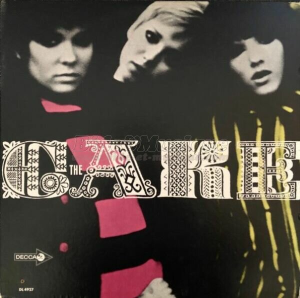 The Cake - Rainbow Wood