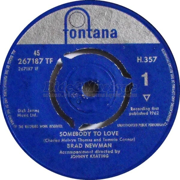 Brad Newman - Somebody to love