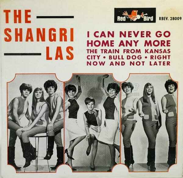 Shangri-Las, The - Bidomnibus, Le