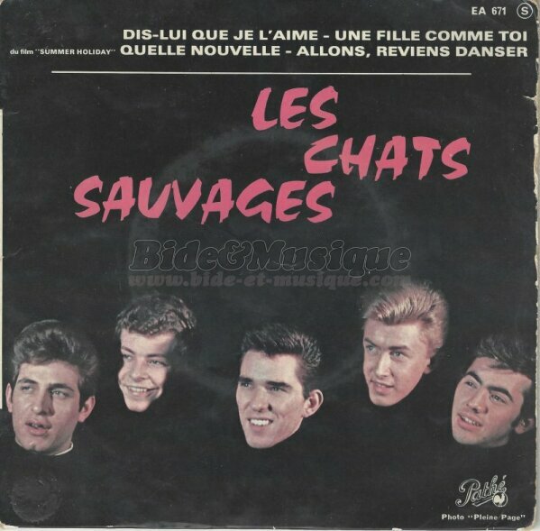 Chats Sauvages, Les - Chez les yé-yé