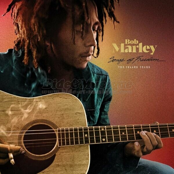 Bob Marley - V.O. V.F. (version anglophone)