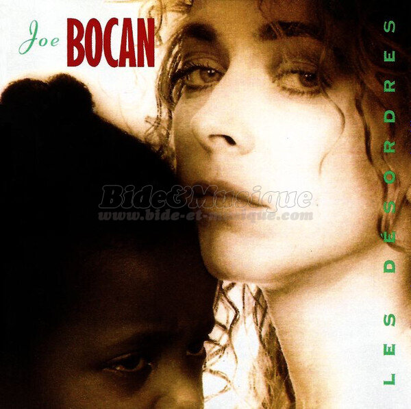 Joe Bocan - journal du hard de Bide, Le