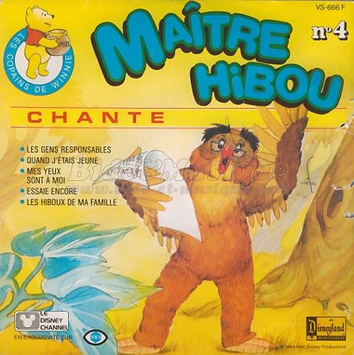 Maître Hibou - DisneyBide