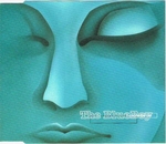 Blueboy - Remember me