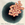 Vignette de White Hinterland - Requiem pour un con