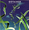 Vignette de Richard Gotainer - Bye bye clope