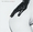 Vignette de The Strokes - Last Nite