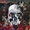 Vignette de Slayer - coin des guit'hard, Le