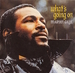 Vignette de Marvin Gaye - What's going on